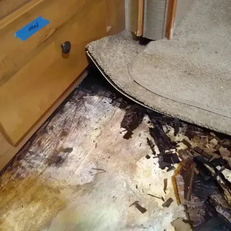 Best Wood Floor Water Damage Service in Westcliffe, CO